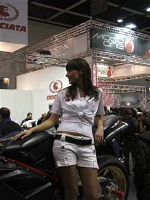 aztek/thumbs/(29).jpg